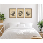 Walnut Antique Football 3 Piece Framed Canvas Wall Art Set by The Creative Bunch Studio