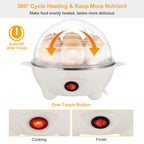 7-Egg Electric Egg Cooker – Auto Shut-Off, 350W, Hard & Soft Boiled, Steam Cooker