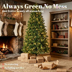 7.5-Foot Hinged Nordmann Fir Prelit Christmas Tree