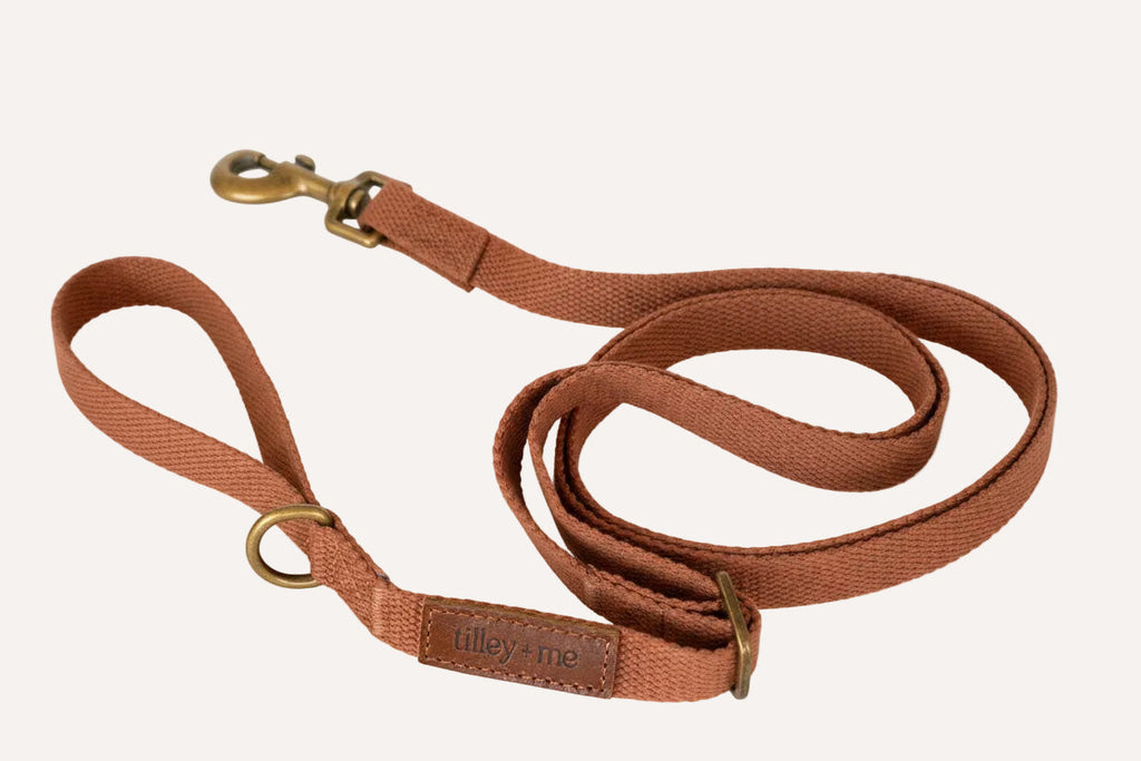 Tilley + Me Hemp Cotton Dog Leash - Durable, Sustainable, Adjustable, Lightweight & Soft- Joshua Tree