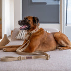 Tilley + Me Hemp Cotton Dog Leash - Durable, Sustainable, Adjustable, Lightweight & Soft- Joshua Tree