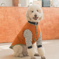 Thermal Protection Labrador Golden Retriever Samoyed Premium Pet Clothing