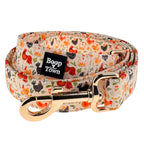 Dog Leashes