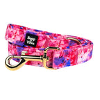Dog Leashes