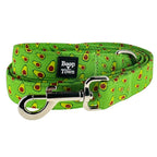 Dog Leashes
