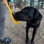 eStick Hand-Held Dog Enrichment Target Training Toy - Interactive Lick Stick | USA Made