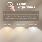Corona Frameless LED Mirror – Backlit, Anti-Fog, Dimmable