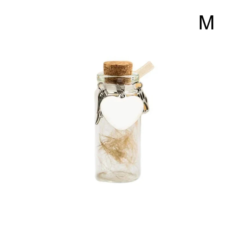 Pet Memorial Bottle for Pet Hair | Dog Cat Fur Keepsake with Silver Accessories
