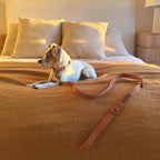 Tilley + Me Hemp Cotton Dog Leash - Durable, Sustainable, Adjustable, Lightweight & Soft- Joshua Tree