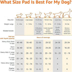 Leak Proof Dog Puppy Potty Pads, 5-Layer Quick Dry High Absorbency, Extra Large Blue White Disposable Training Mats