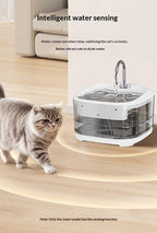 Large Capacity Fully Transparent Automatic Circulating Filtered Pet Water Fountain