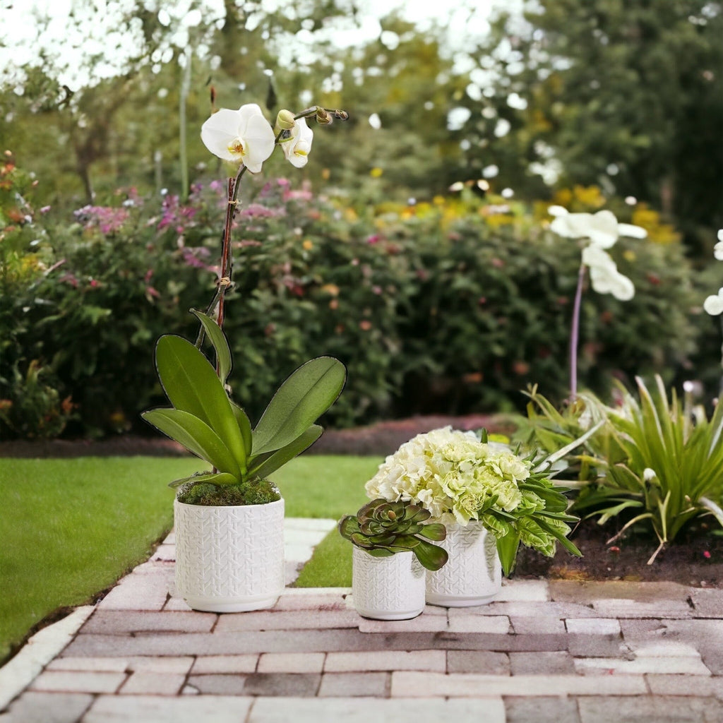 Ceramic Webbing Pattern Planters Embossed Cane Cement Pots Small Medium Large