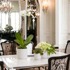 Ceramic Webbing Pattern Planters Embossed Cane Cement Pots Small Medium Large