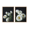 Sylvie White Ranunculus Framed Canvas Set by Emiko and Mark Franzen of F2Images