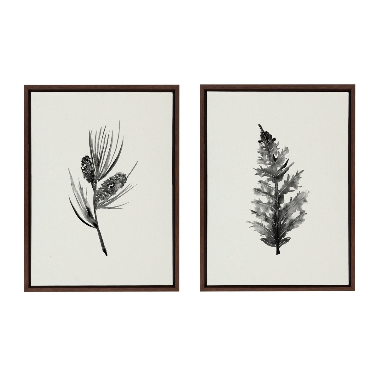 Sylvie Vintage Botanical 3 and 4 Framed Canvas Set by Teju Reval of SnazzyHues