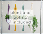 Handmade Macrame plant hangers Diamond style. Made to order.
