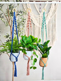 Macrame plant hangers. Spiral design. made to order
