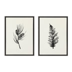 Sylvie Vintage Botanical 3 and 4 Framed Canvas Set by Teju Reval of SnazzyHues