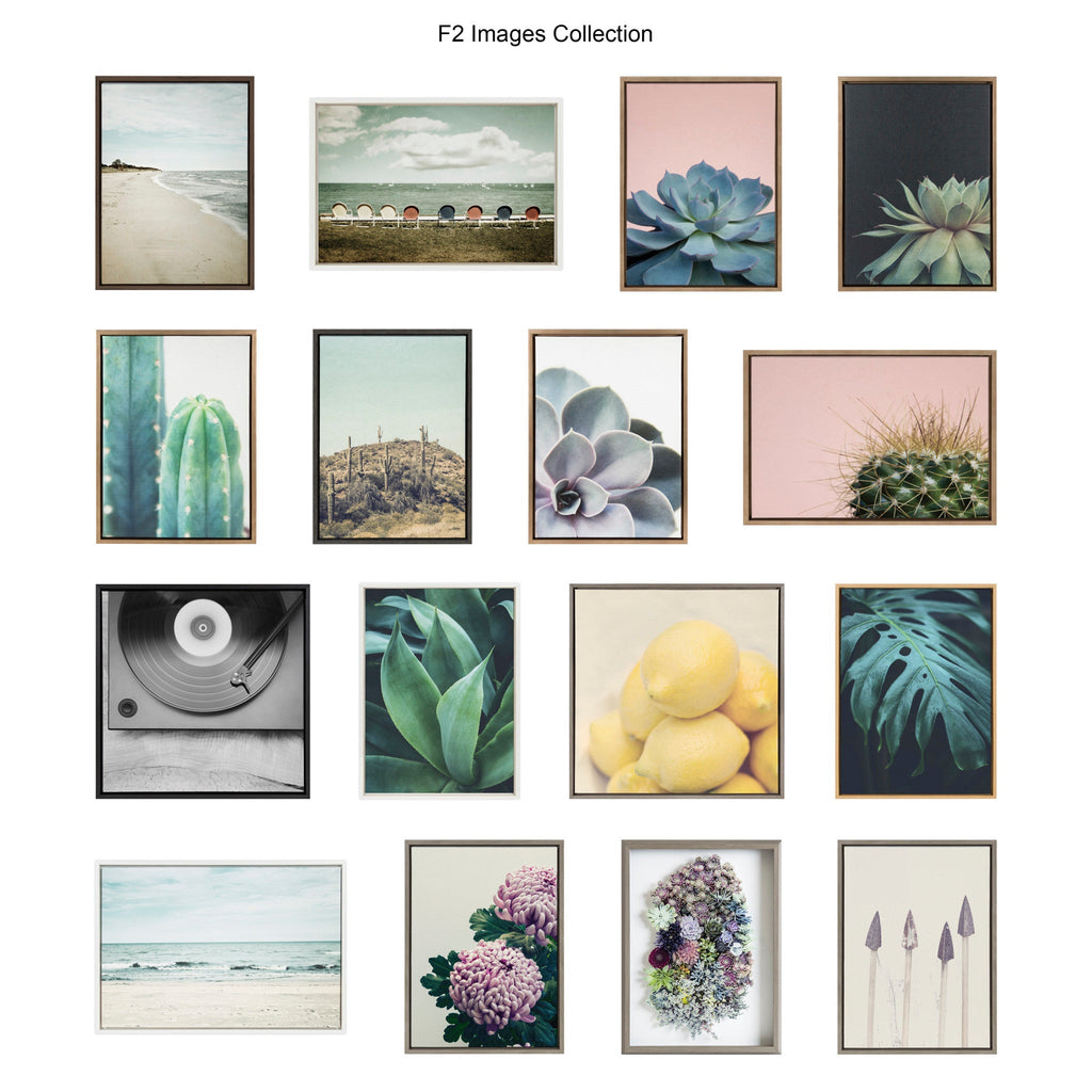 Sylvie White Ranunculus Framed Canvas Set by Emiko and Mark Franzen of F2Images