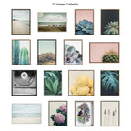 Sylvie White Ranunculus Framed Canvas Set by Emiko and Mark Franzen of F2Images