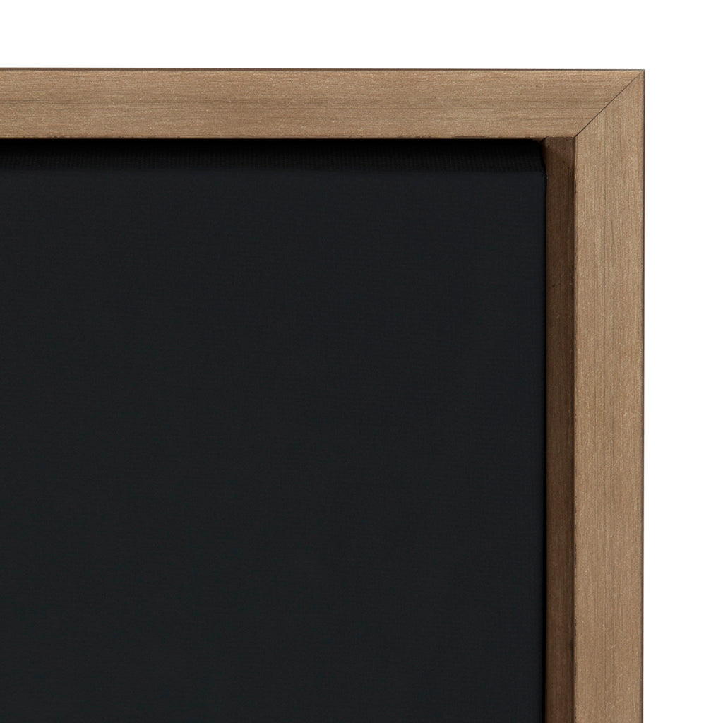Sylvie White Ranunculus Framed Canvas Set by Emiko and Mark Franzen of F2Images